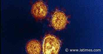 How one unmasked teacher spread coronavirus to students - Los Angeles Times