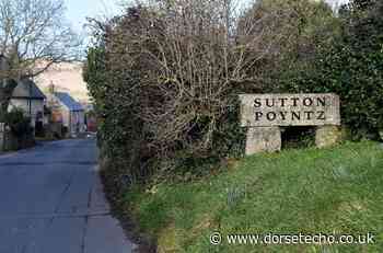 Art exhibition at Sutton Poyntz Mission Hall - Dorset Echo