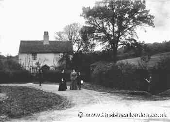 A rural view of an East London farm a century ago