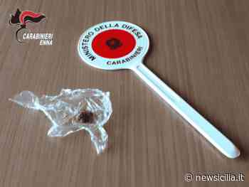 Enna, controlli dei carabinieri: titolare e cliente sanzionato perché senza Green Pass, giovane con droga segnalato - NewSicilia