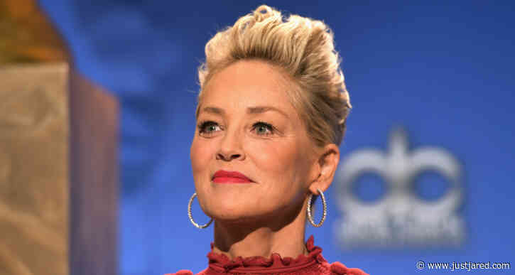 Sharon Stone Asks for Prayers After 11-Month-Old Nephew is Hospitalized with 'Total Organ Failure'