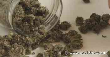 Doctor helps Utahns get medical marijuana cards - fox13now.com
