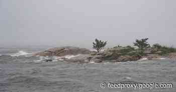 Climate crisis: Marine life will need to 'adapt or die' as ocean surfaces change     - CNET