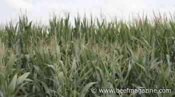 This Week in Agribusiness, August 28, 2021