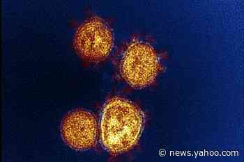 How one unvaccinated, unmasked teacher spread coronavirus to students and parents - Yahoo News