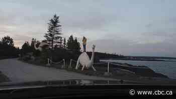 Arts funding system narrows our imagination and leaves artists feeling helpless