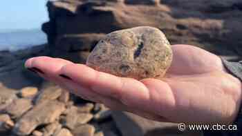 Take a walk through P.E.I.'s prehistoric past