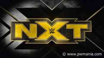 Fan That Was Kicked Out of WWE NXT Taping For Providing Spoilers Issues Statement - PWMania