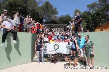 Bardot, Dombreval et Servat demandent au Département de renoncer à l'expulsion du refuge de la SPA à Mougins