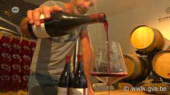 Antwerpse wijn in beste restaurant ter wereld: “Fantastico, zei de sommelier” - Gazet van Antwerpen