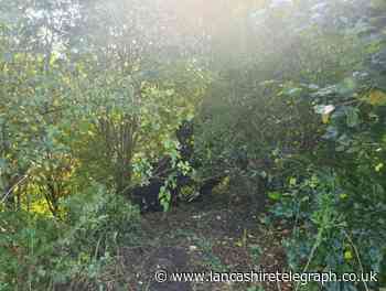Driver races car into embankment in Buckshaw Village