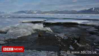 Greenland island is world's northernmost island - scientists