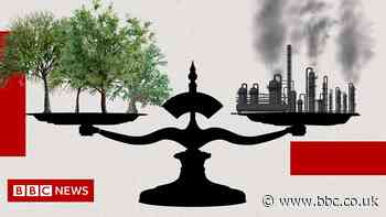 Climate Basics: Can carbon offsetting help the planet?