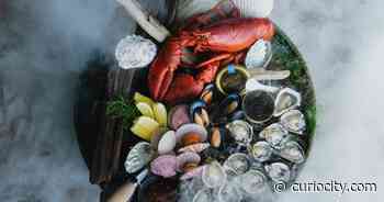 A new sustainability-focused restaurant with a gorgeous interior is opening in Richmond - Curiocity