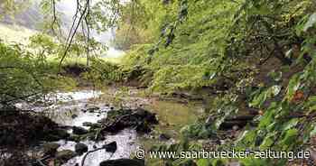 Ausflugsziele für Naturfreunde: Neue Pläne – Kreis Neunkirchen soll weitere Premiumwanderwege bekommen - Saarbrücker Zeitung