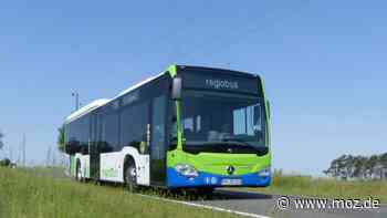 Bus-Verkehr: Mit regiobus zur Burgfestwoche Bad Belzig - Fahrten innerhalb der Stadt kostenfrei - moz.de