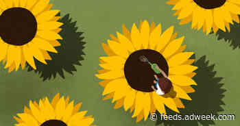 The Four Questions Part IV: How Does One Foster a Path of Growth and Kindness?