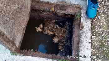 Liquami a piazza Risorgimento a Formia, Acqualatina: "Nessuno sversamento fognario" - Il Faro online