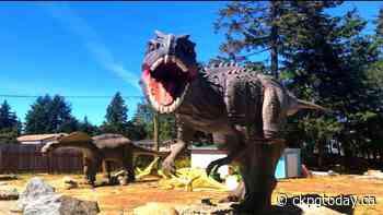 District of Lantzville argues popular dinosaur attraction is illegal - CKPGToday.ca