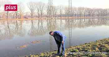 Hochwasserschutz? Warum bei Trebur kein Polder entsteht - Allgemeine Zeitung