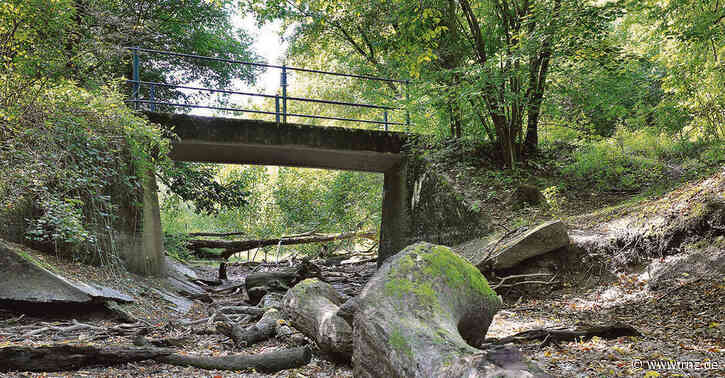Reißinsel Mannheim:  Keine Fahrräder im Stadturwald