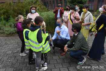 Jeugdminister Benjamin Dalle bezoekt zomerschool Kanjerkamp ... (Mol) - Gazet van Antwerpen