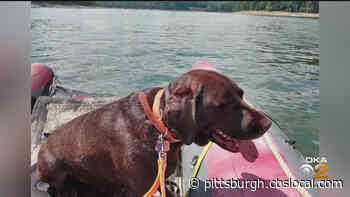 Man Still Missing On Yough Lake After Disappearing On Friday