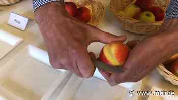 Erntesaison: Zu Besuch beim Apfelbauer in Dohna - MDR