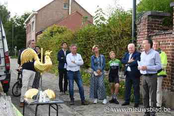 Haan terug op kerktoren gezet na restauratie: “Met boodschappen voor de toekomst” - Het Nieuwsblad