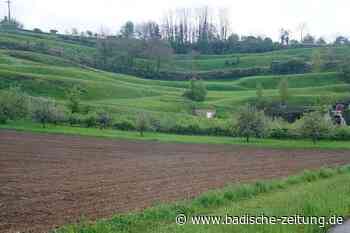 BUND und NABU lehnen Kenzinger Pfannenstiel ab - Kenzingen - Badische Zeitung