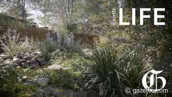 LIFE | Gardener brings his own flair to backyard escape - Colorado Springs Gazette