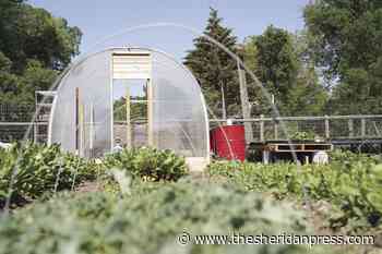 UW to begin Master Gardener class Sept. 7 | Local News | thesheridanpress.com - The Sheridan Press