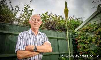 Gardener flabbergasted plant blooms after 42 years and grows nine feet in two months - Express