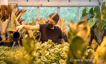 Franklin & Marshall – Student Gardener Finds Her Campus Roots - fandm.edu
