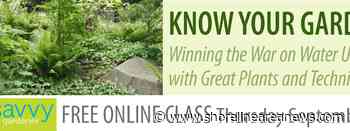 North City Water District FREE Savvy Gardener online class on Thursday, September 2nd - shorelineareanews.com