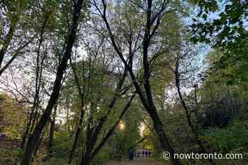 The best Toronto walks to beat the heat - NOW Magazine - NOW Toronto