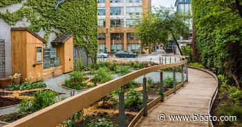 This hidden parkette in Toronto is an oasis amidst the concrete jungle - blogTO