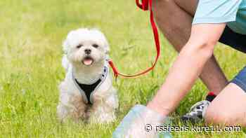 Minnesota family invents solution to dog dilemma: The 'Pu Pouch'
