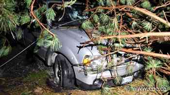 Man dies at Erin, Ont., golf course following violent storm