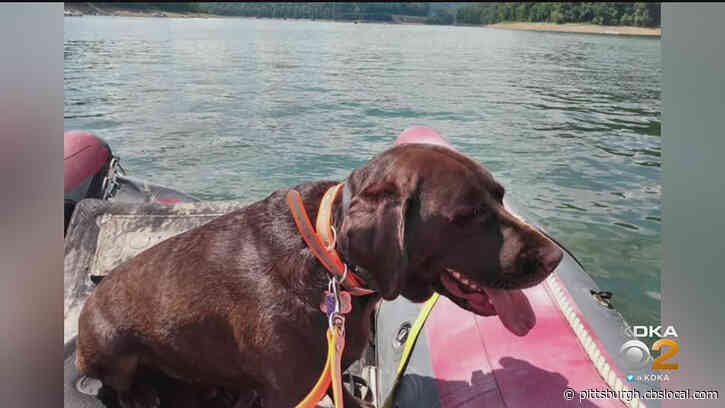 Body Of Missing Man On Yough Lake Recovered After Disappearing On Friday