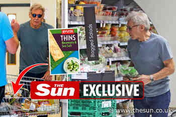 Harrison Ford takes break from filming to pick up healthy food at Waitrose... - The Sun