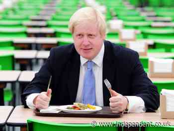 Food strategy dismissed by Boris Johnson may still be introduced, insists PM’s tsar - The Independent