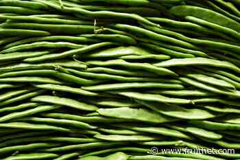 Veg Power joins forces with Love British Food - Fruitnet