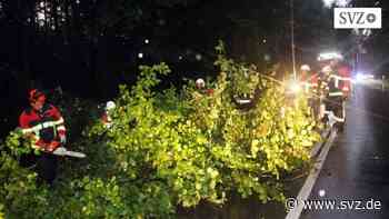 Sturmschäden bei Mestlin und Parchim: Frau nur knapp von umstürzendem Baum verfehlt | svz.de - svz – Schweriner Volkszeitung