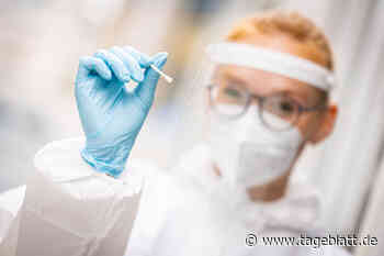 Corona im Kreis Stade: Inzidenz steigt über 40er-Marke - Landkreis Stade - Tageblatt-online