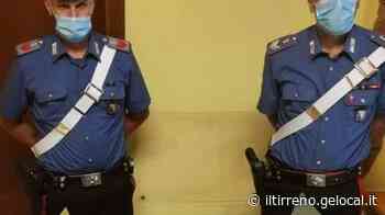 Scoperta serra casalinga per coltivare marijuana Denunciato un giovane - Il Tirreno