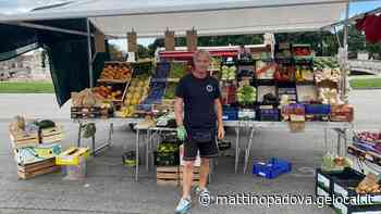 Il fruttivendolo di Prato della Valle e il ladro che lo deruba quasi ogni giorno - Il Mattino di Padova