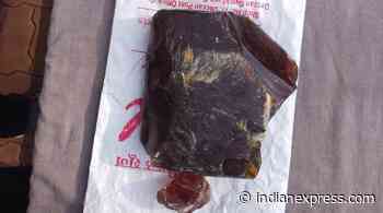 Pune: Gang of six from Pune arrested by Forest dept for smuggling Ambergris - The Indian Express