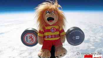 Marsberg: Skurrile Idee der DEG endet im Sauerland - Westfalenpost