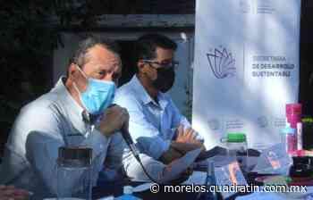 Analizan reubicar Mercado platero del centro histórico de Cuernavaca - Quadratín - Quadratín Morelos